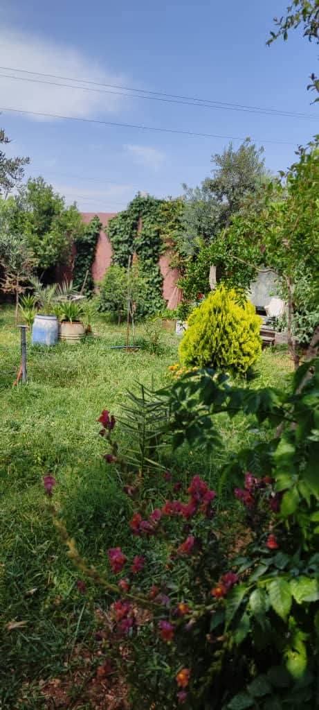 للأجار اليومي مزرعة مخدمة و مجهزة من كلشي /حماه غرب المشتل 