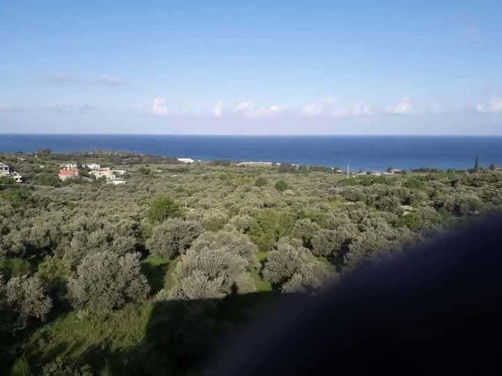 Baher realstate