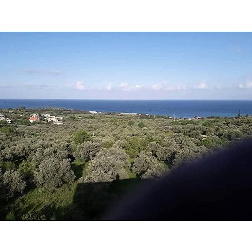 Baher realstate