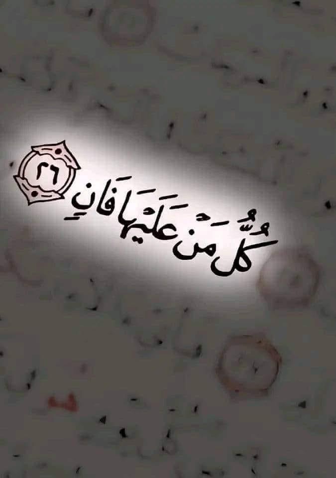 أبو سائر الحمصي...محمود Cover