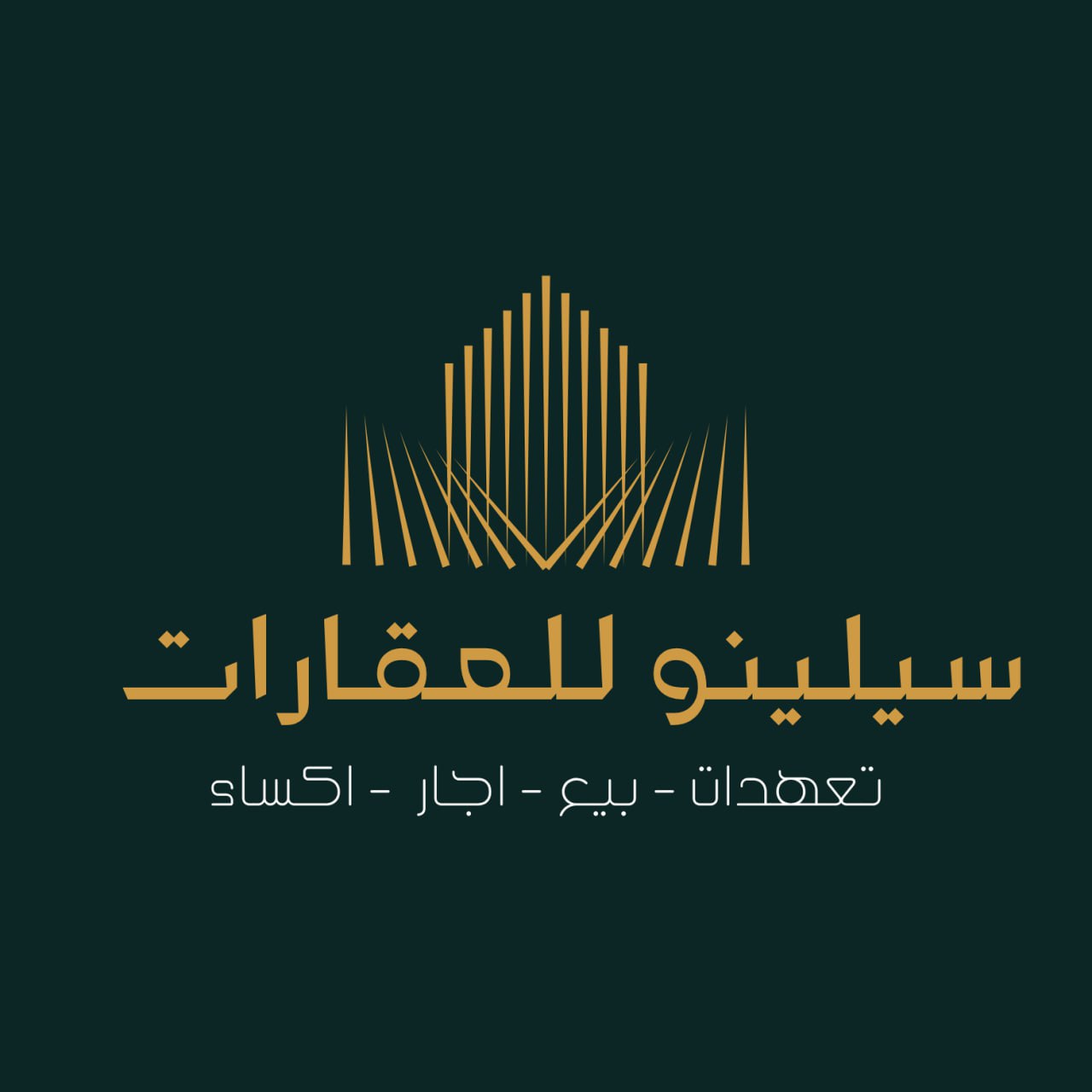 سيلينو للعقارات والمقاولات والإنشاءات في مدينة الباب