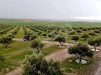 للبيع  مزرعة 100دونم 