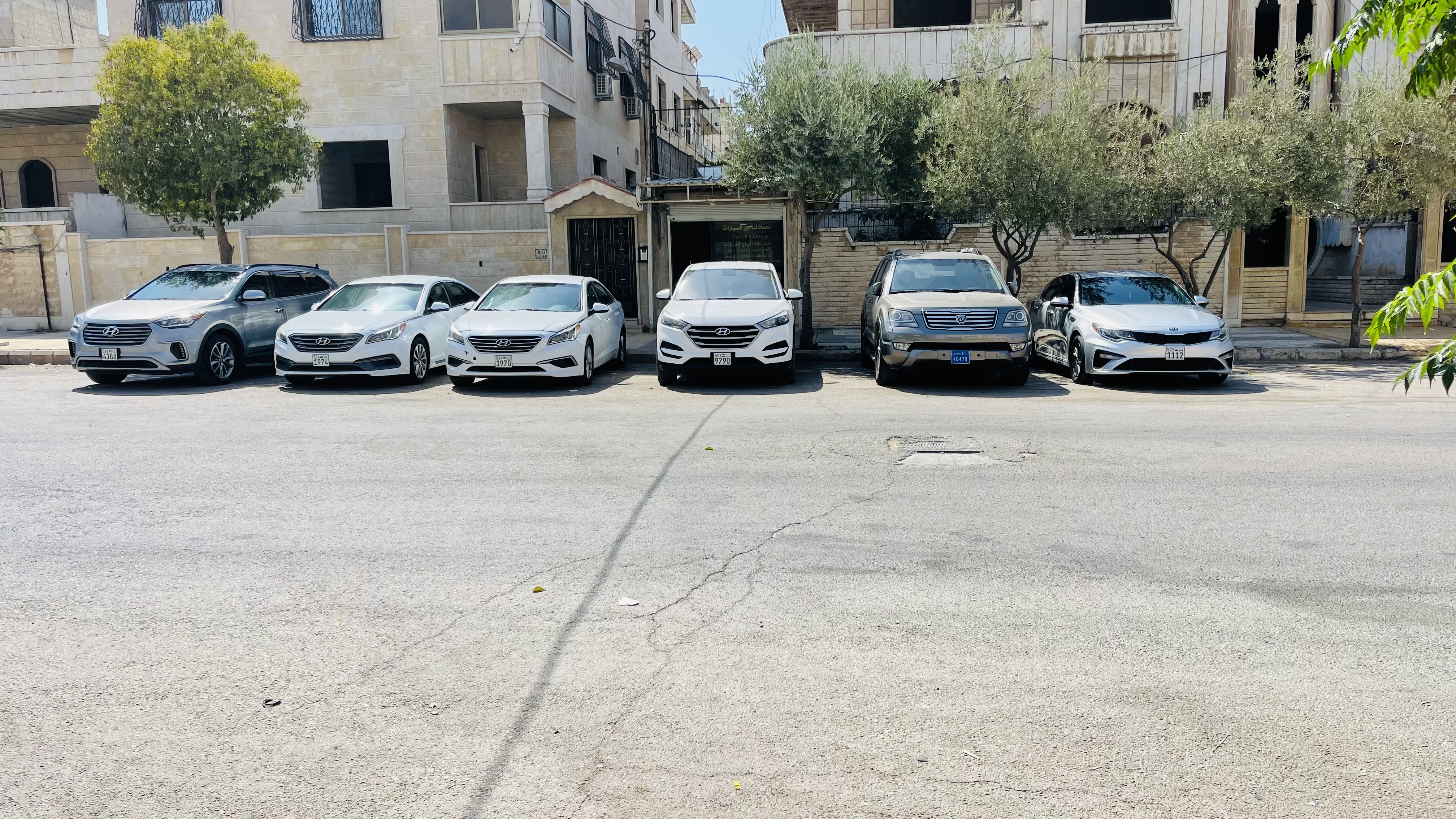 العقاد