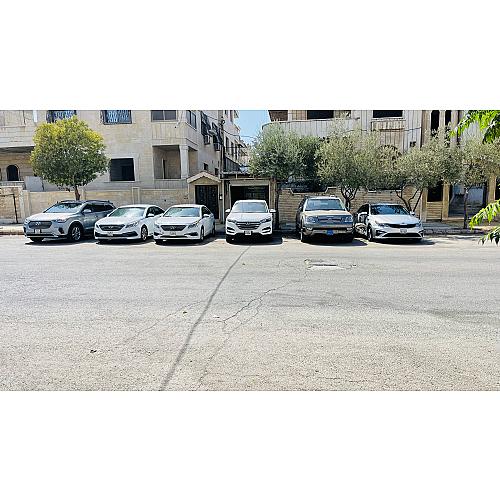 العقاد