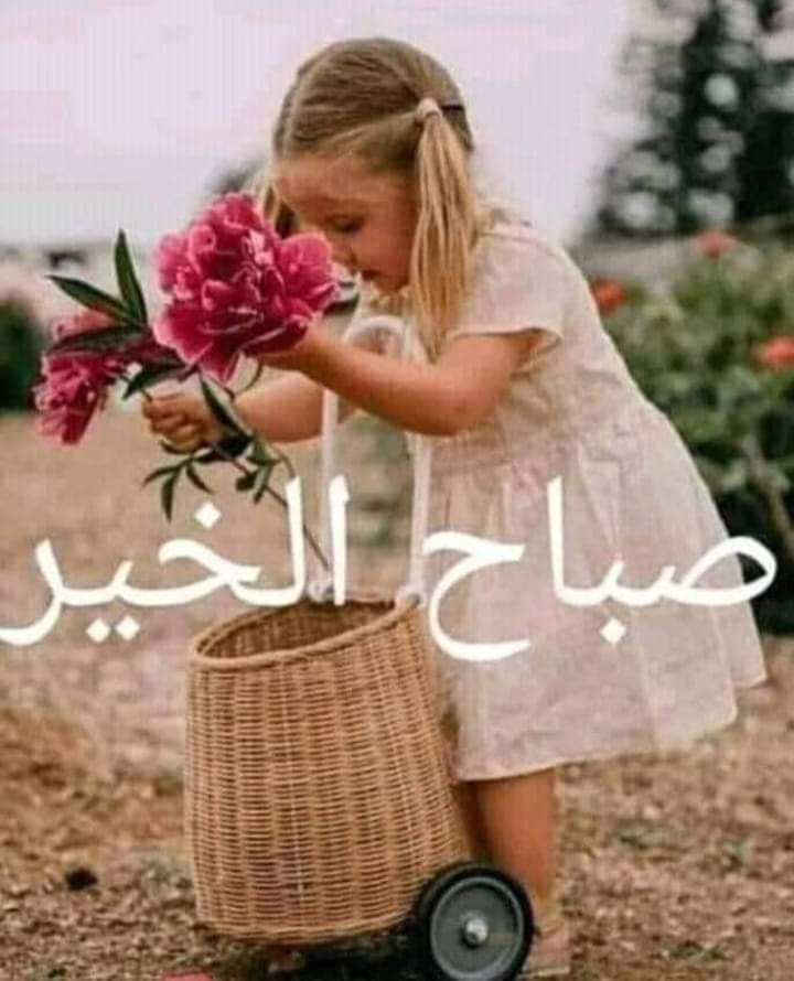 -ابوكمال