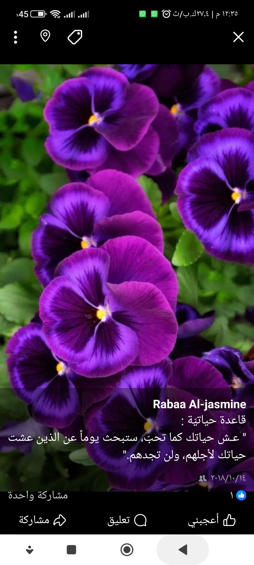 رابعه أم محمد Cover