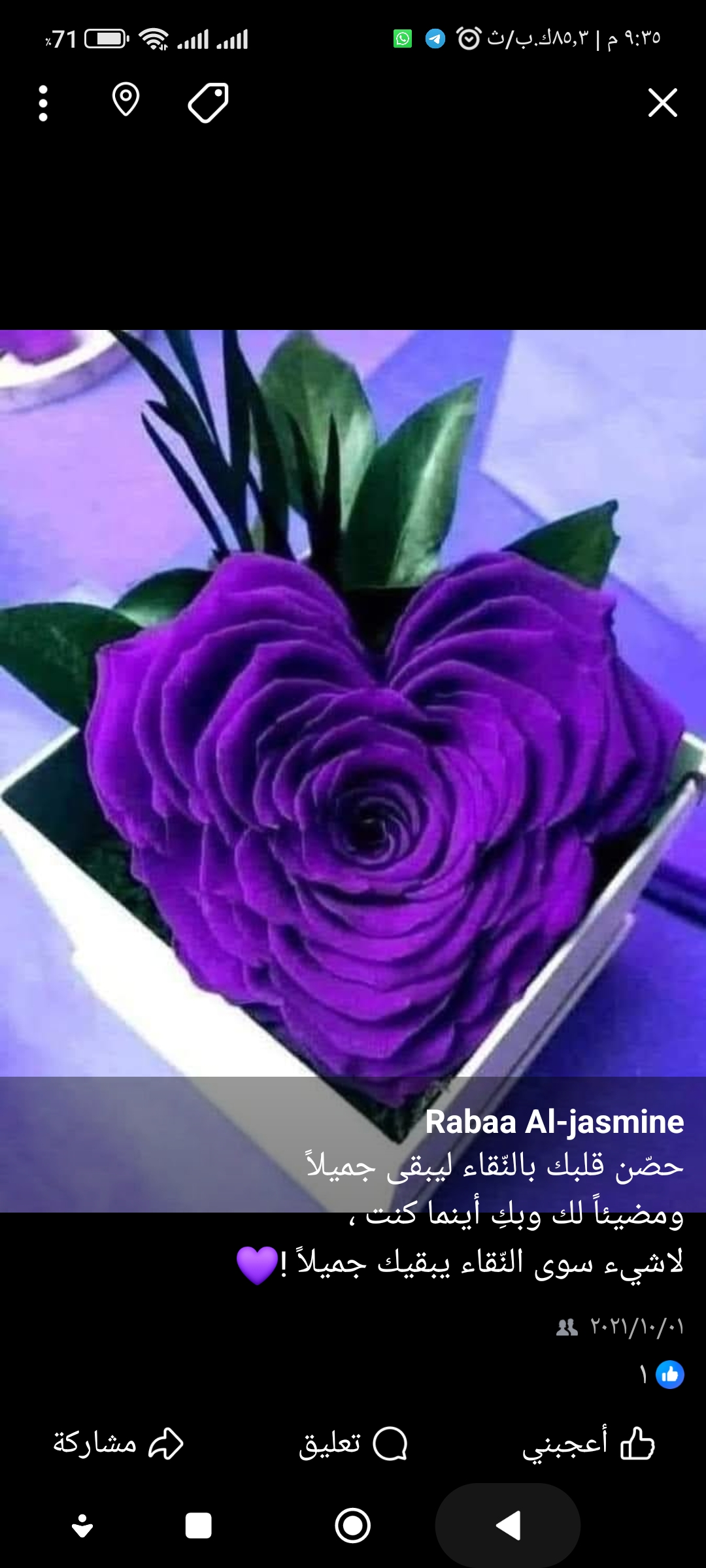 رابعه أم محمد