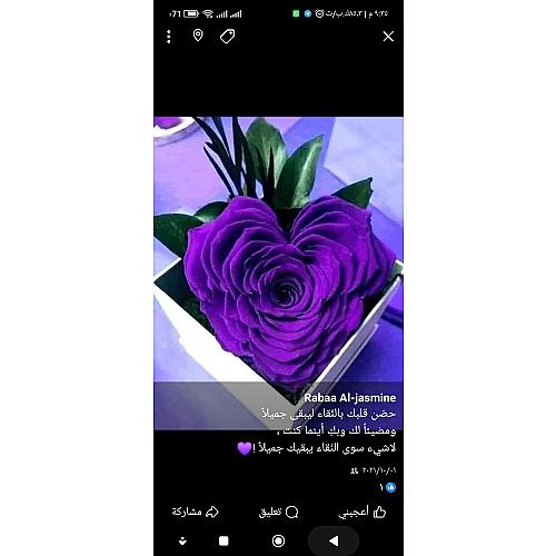 رابعه أم محمد
