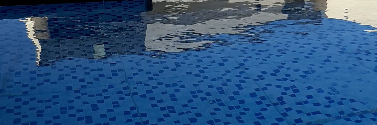 عبيد Cover