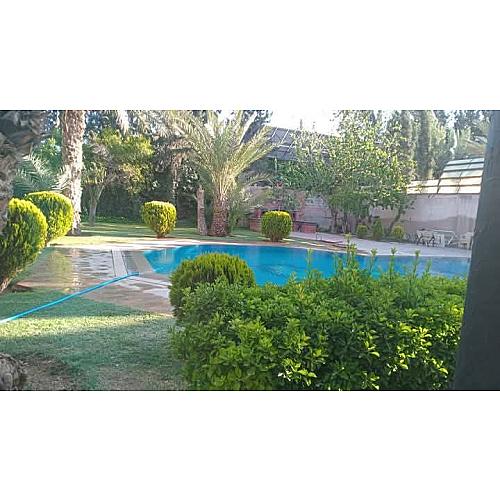 مزارع ابوتيم الشامي