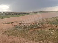 ارض زراعية للبيع في الرقاما، حمص - 67 دنم بسعر 350$