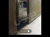 شقة للبيع بحي البياضة بحمص 108م² بسعر 220,000 دولار