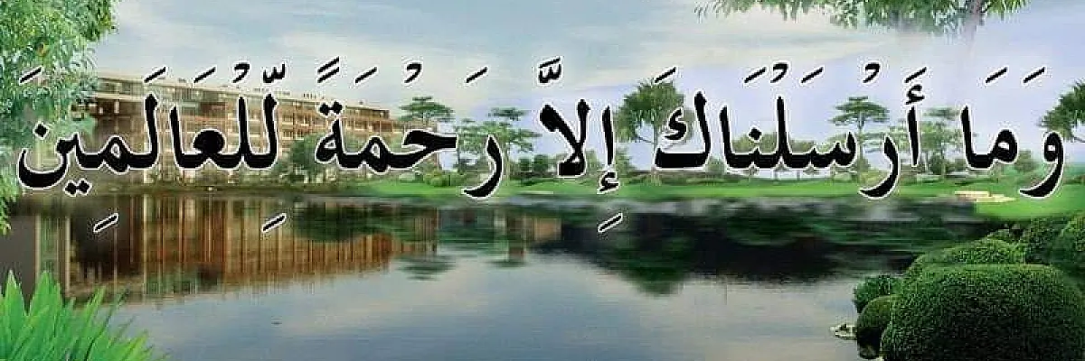 Saleh omar Cover