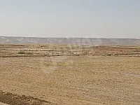 أرض زراعية للبيع في سلوك، الرقة - 182000 م²