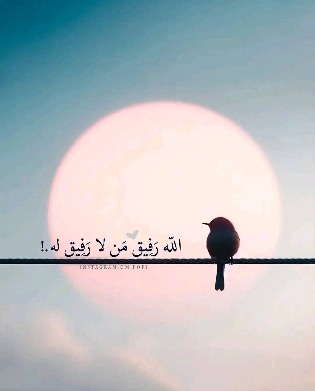 Dr. Alaaddin  Cover