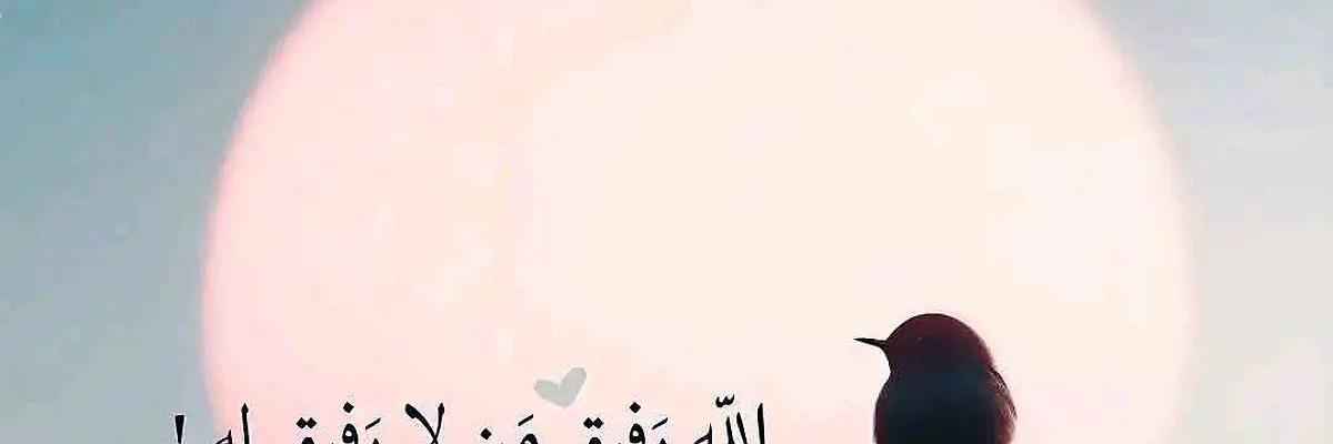 Dr. Alaaddin  Cover