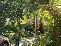 فيلا للبيع على طريق المطار الجسر الخامس تصلح لاي مشروع اشتثماري