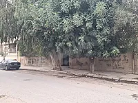أرض سكنية للبيع في الشريعة - حماة بمساحة 784 م²