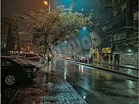 للبيع يوجد محلين قبو تجاري  عشارع العام _كورنيش الميدان_