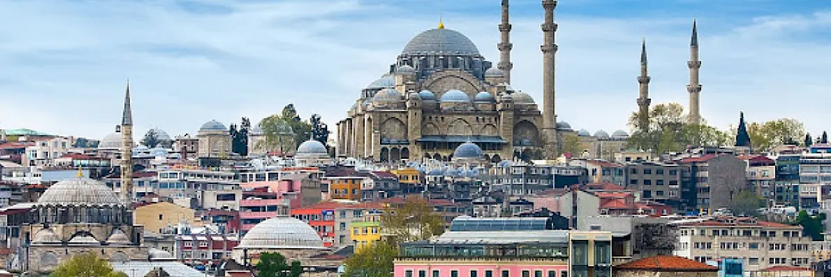 Muzaffer  Cover