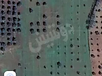 أرض 21 دلم للبيع في دركوش بإدلب - بئر ماء وطريق