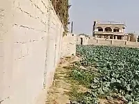 ارض لقطة ١١ دونم بمرج السلطان طابو اخضر