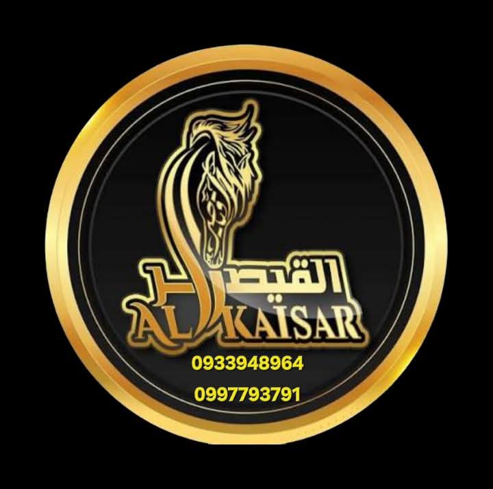 الاستاذ حسام