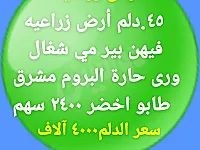 درعا صيدا 