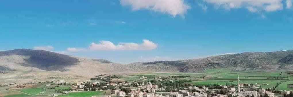 محمد عامر Cover