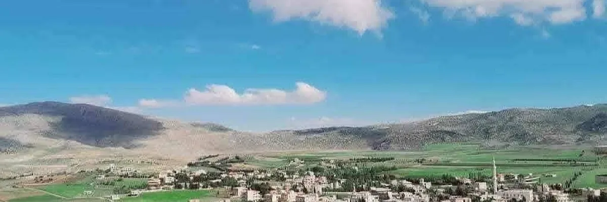 محمد عامر Cover