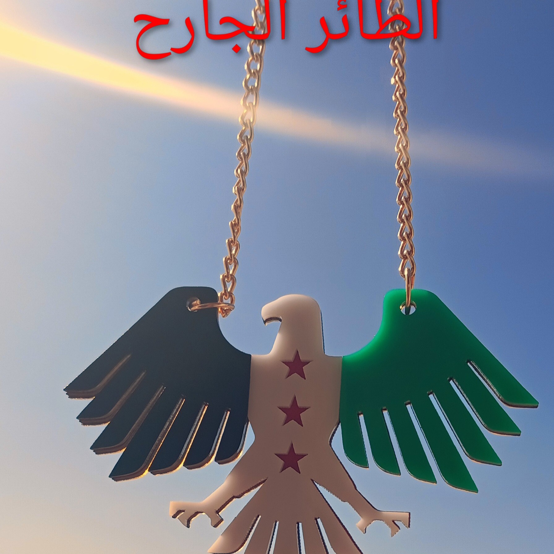 احمد فايز شعله