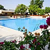 صورة المستخدم