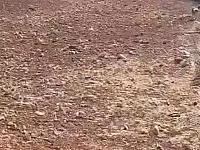 للبيع ارض على طريق حلب غازي عنتاب