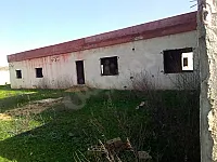 فلل للبيع في مصياف، 10000 م²، 2 طابق، 6 غرف، 2 حمام