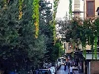 للبيع محضر كامل في القنوات