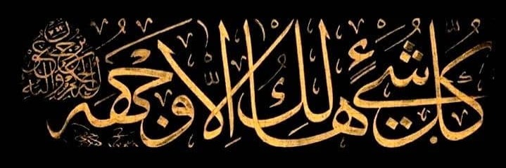 Ali Cover
