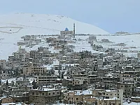 ارض زراعية ١٤ دونم برنكوس منطقة ارفلا عمر الشجر ٤٠سنة تفاح كرز مشمش 