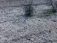 للبيع ارض زراعية طابو اخضر مساحة 52 دونم 
