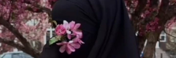 جولي Cover