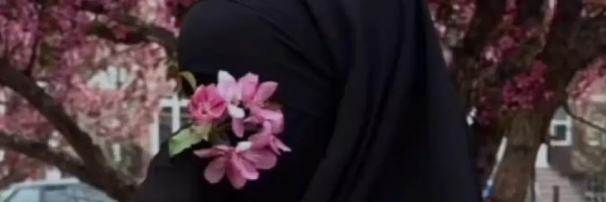 جولي Cover