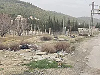 أرض زراعية للبيع في مركز الزبداني - 5000 م²