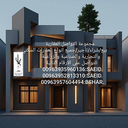 بشار عرار