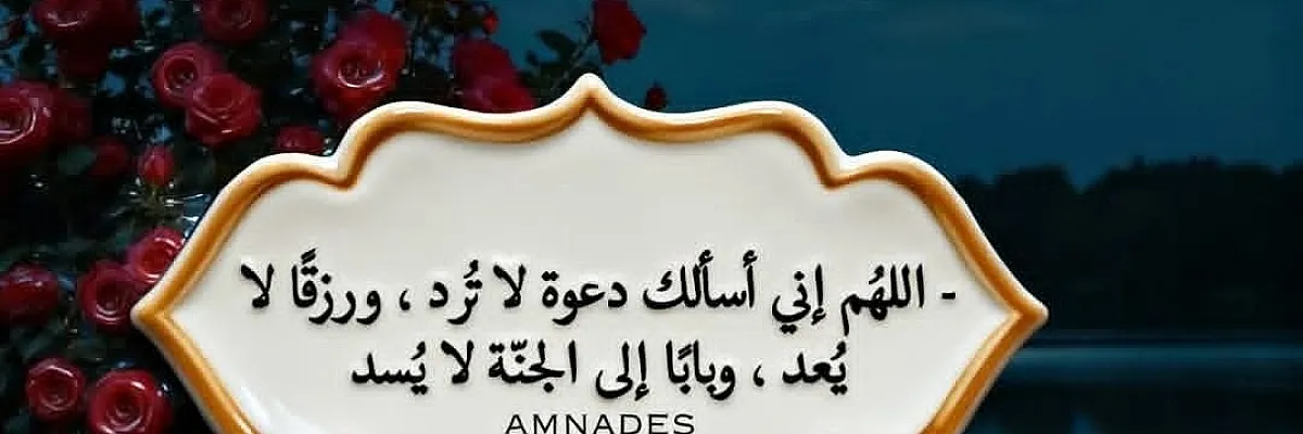 علاء المحمد Cover
