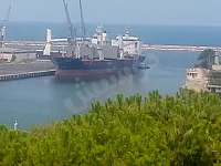 تخليص جمركي استيراد و تصدير