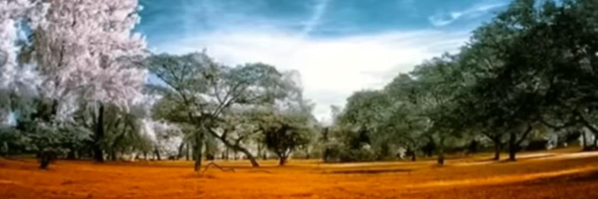 عبدالرحمن رجب Cover