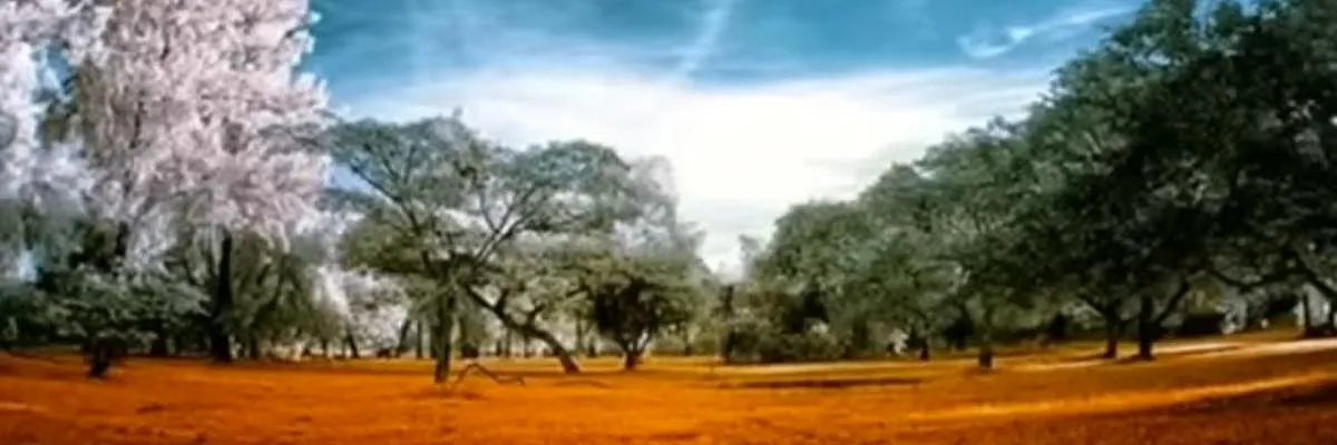 عبدالرحمن رجب Cover