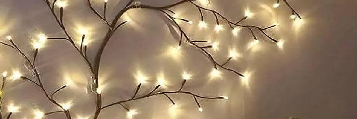 دريم هوم (Drem home) Cover