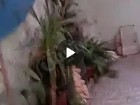 منزل عربي افرنجي مؤلف من طابقين + فتحة سماوية وارض ديار