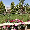 صورة المستخدم