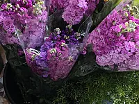 مركز ازهار  ابو تيم للازهار ورود طبيعية وصناعية